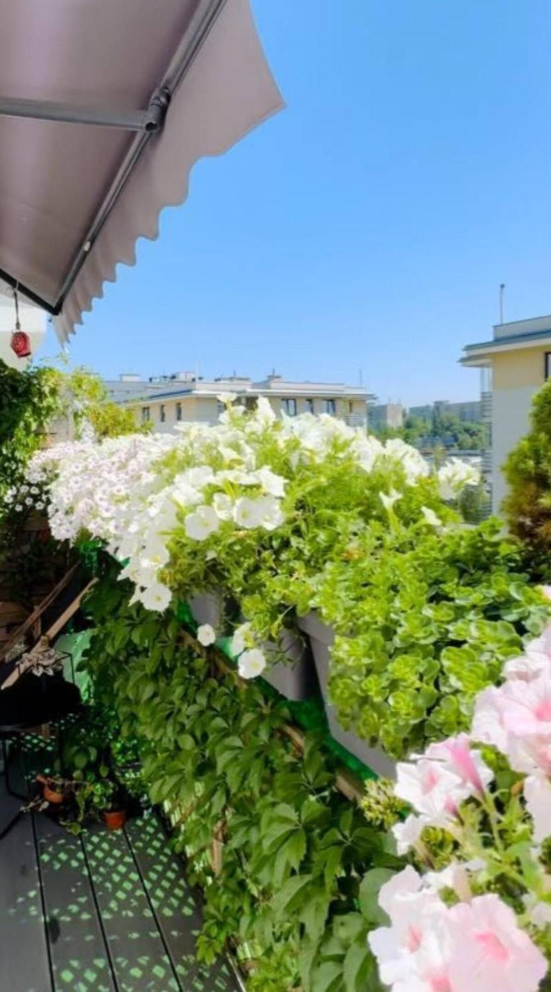 Shiraz Trio Apartament ワルシャワ エクステリア 写真